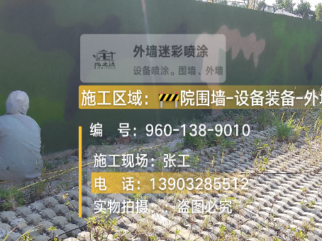 甘肃外墙迷彩漆材料价约 45-60 元 /k