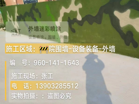 甘肃 迷彩漆喷涂价格（按平方米计费）