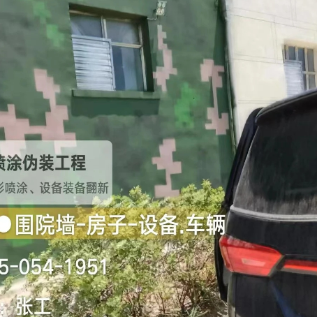 甘肃数码迷彩漆施工